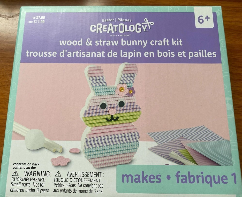 Creatology Easter Wood & Straw Bunny Craft Kits New