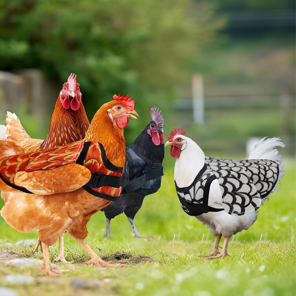 3-Pack Chicken Saddle Hens Adjustable Hen Back Protector Jacket Reusable Wing