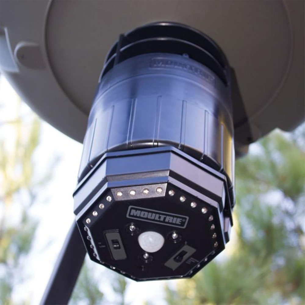 High-Powered Feeder Hog Light with Motion & Photocell Activation - 30 Ft Range