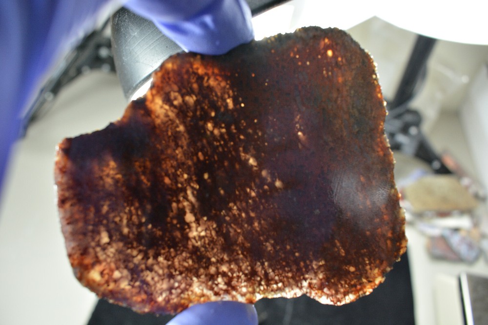 Agatized Dinosaur Bone Slab Utah Ex Shriley Collection