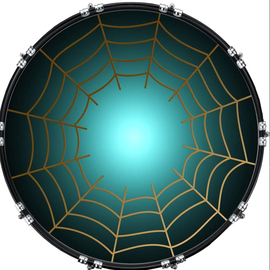 20" Custom Bass Kick Drum Front Head Graphic Graphical Spider Web 2