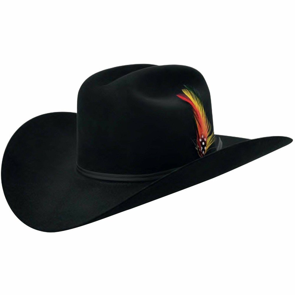 Stetson® Classic Cowboy Hat Feather ( 2 Feathers ) MULTICOLOR