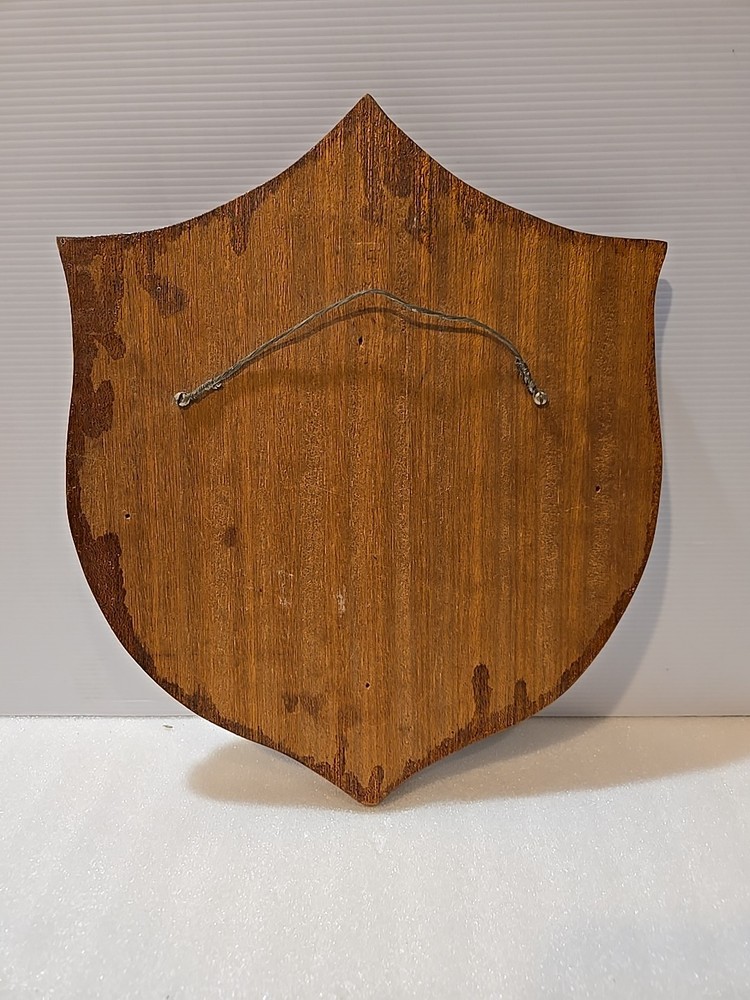 US Navy AIR DEVELOPMENT SQUADRON ONE AIR DEVRON PATCH ON 12" SERVICE PLAQUE 1962