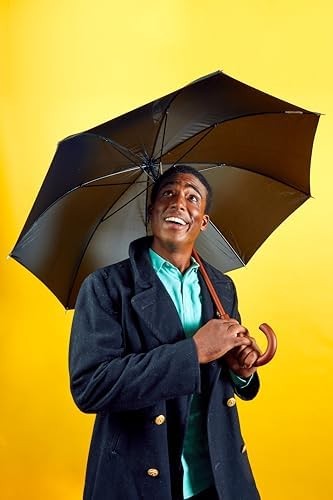 Eco Auto Open Umbrella Classic Wooden Handle