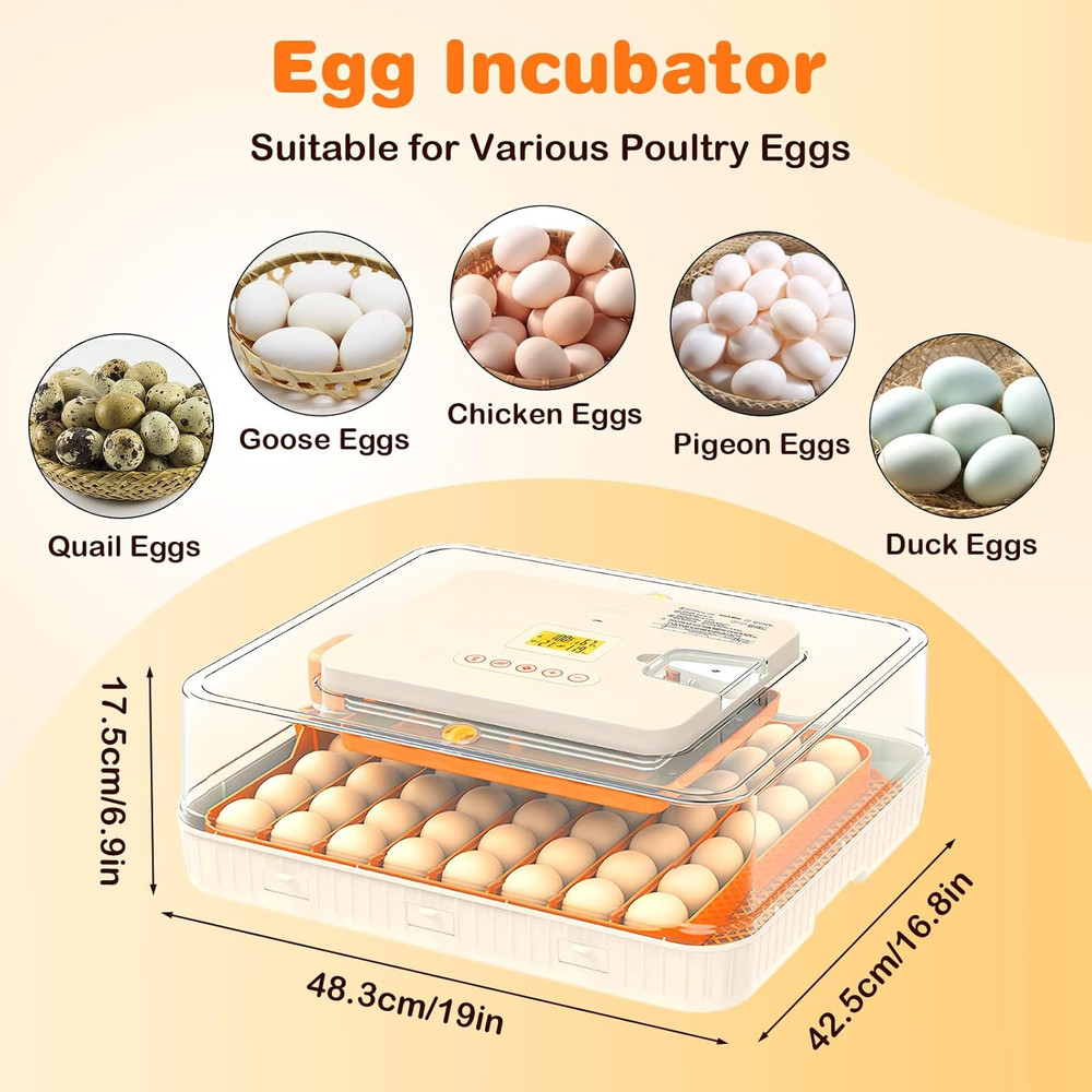 56 Egg Incubator with Auto-Turning, Hatching Temperature & Humidity Control