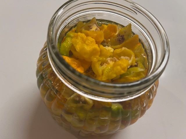 Jamaican Hot Scotch bonnet peppers.