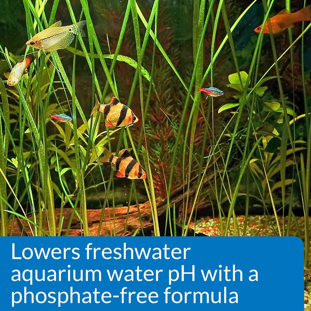 API Aquarium pH Control Kit: pH Down 16oz & pH Up 4oz - Freshwater
