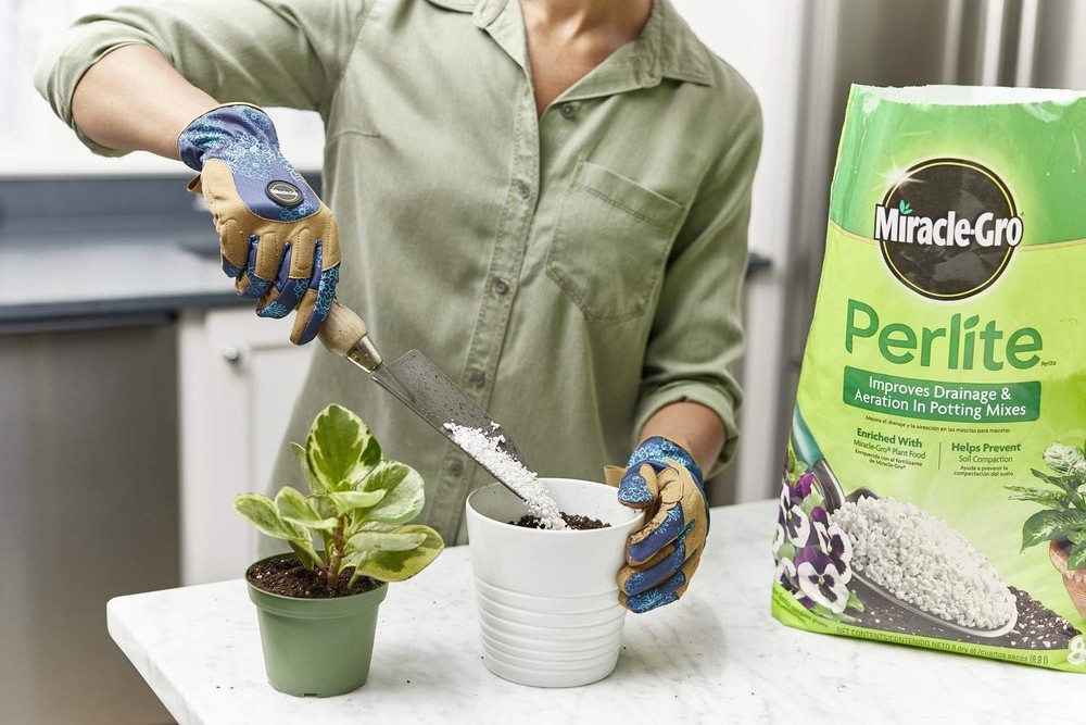 Miracle-Gro 8 qt. Perlite Soil