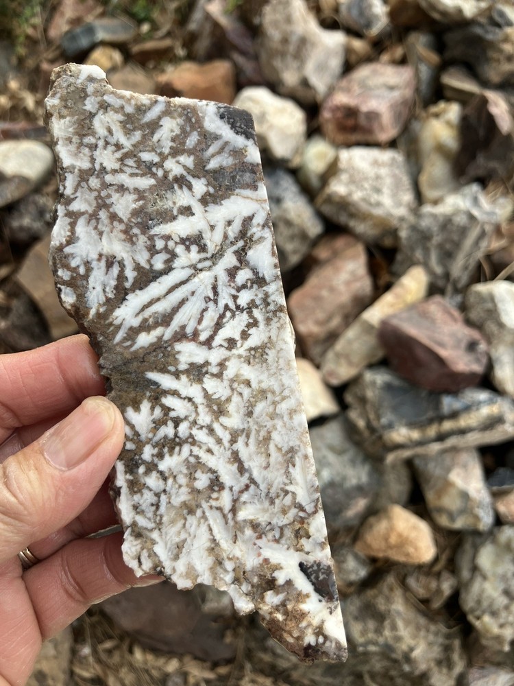 Mexican Snow Plume Agate Slab