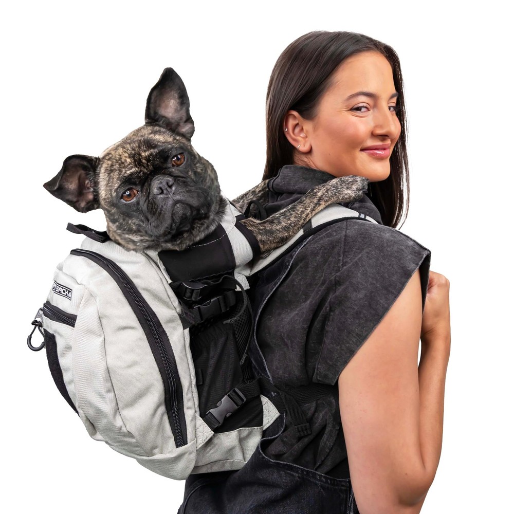 Plus 2 - Small, Light Grey - Ideal for Dogs 13-16” Long - Adjustable, Backpac...