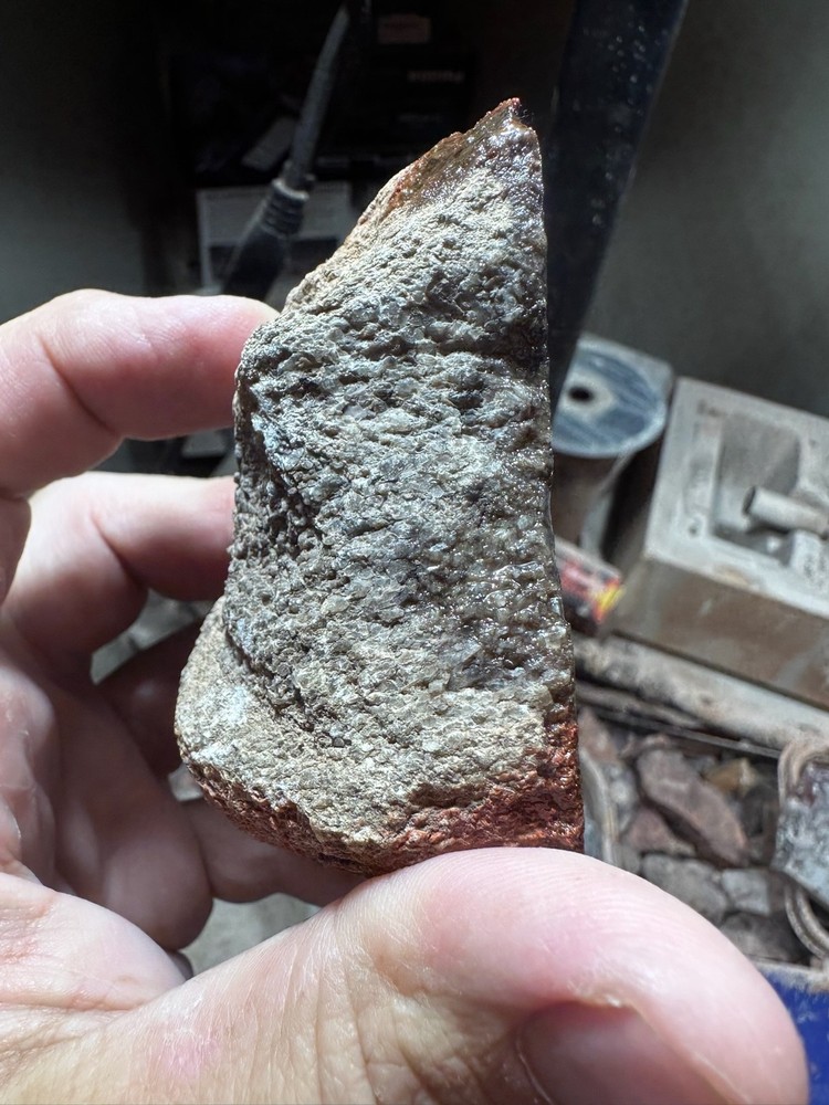 Dinosaur bone rough **hxtled end cut.