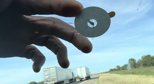 Windshield Chip Repair Patch (2pk) Innovation Through Simplicity, No