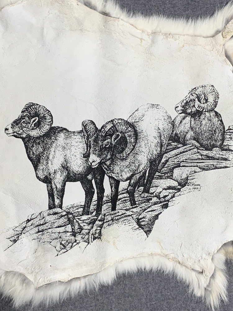 Printed Rabbit Pelt: Big Horn Sheep