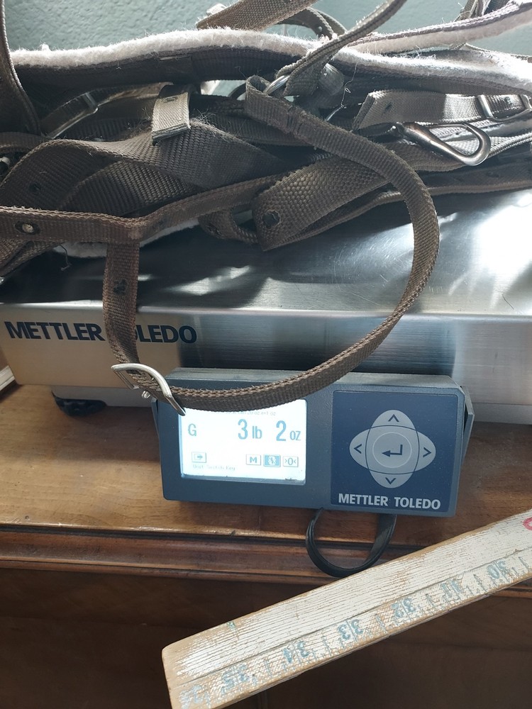 Nylon Saddle Britchen Breeching W/ Breast Collar