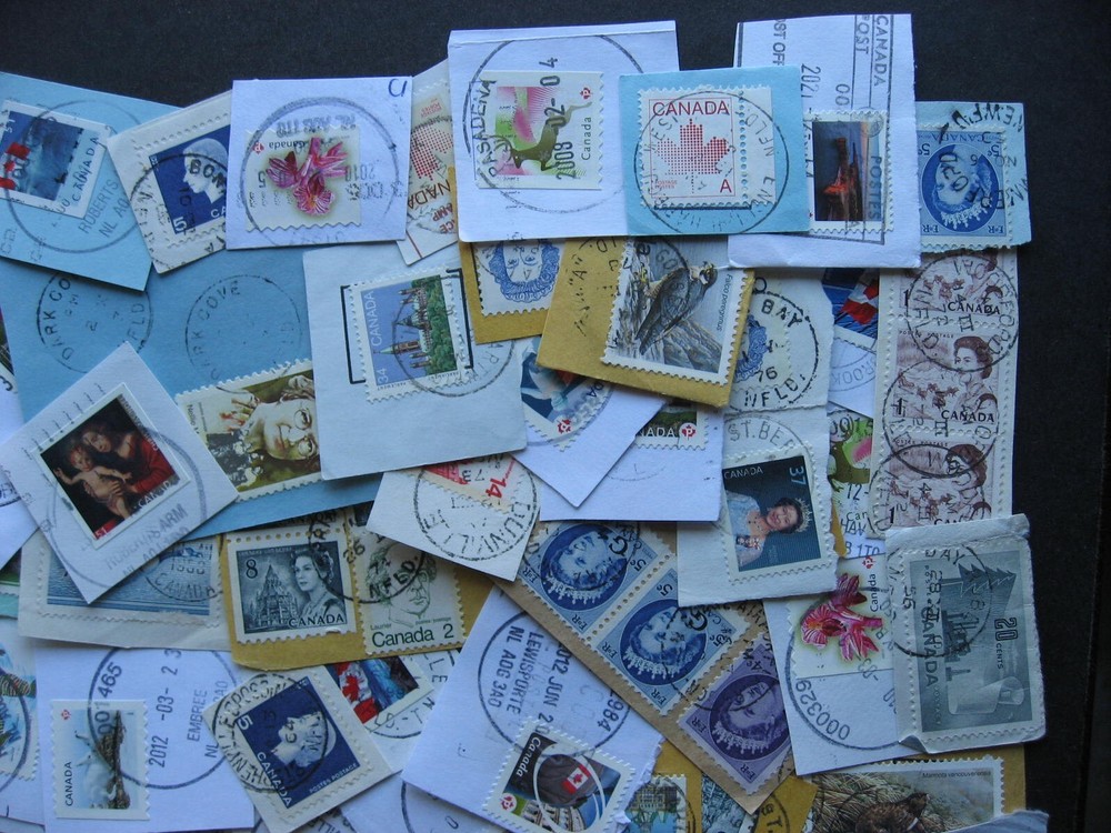 Canada 100 Newfoundland NL cancels with SON mixture (duplicates,mixed cond)