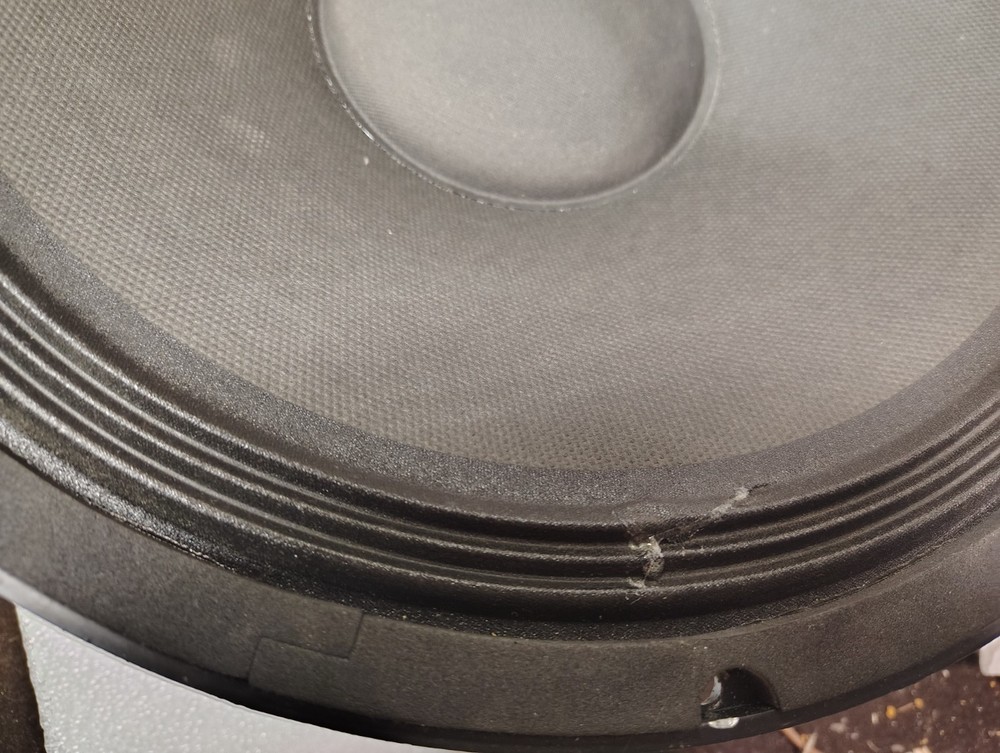 EAP-15D speaker woofers, one pair