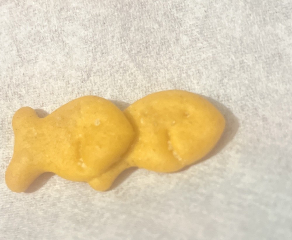 Double goldfish Exp 10/26/26