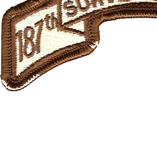 187th LRS Infantry Desert Patch