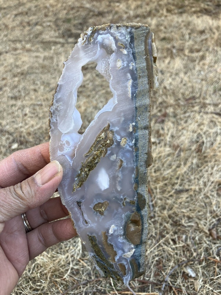 Agatized Limb Cast Slab (Indonesia)