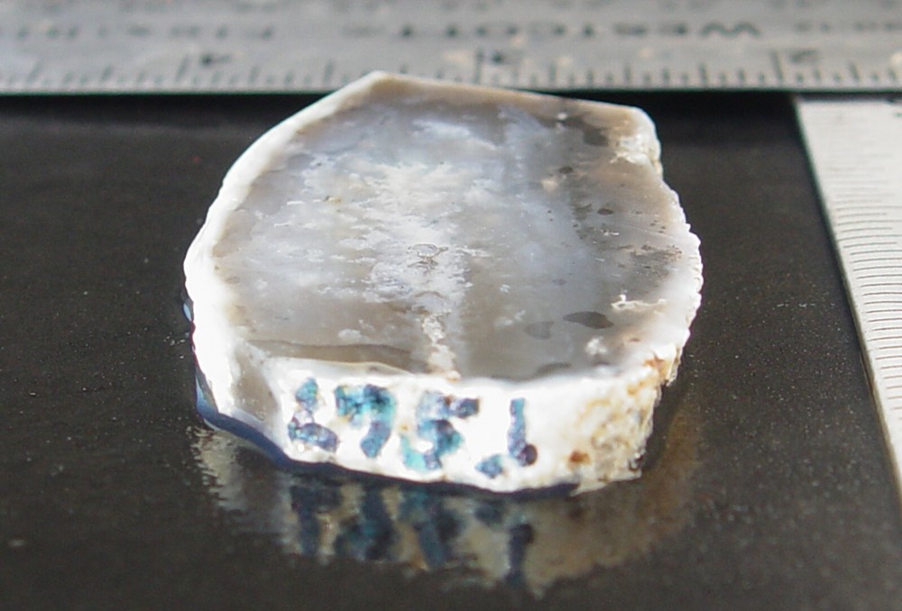 Dendritic Agate Lapidary Slab T967