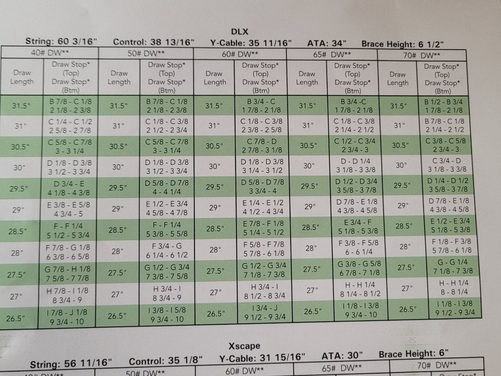 Xpedition DLX compound bow