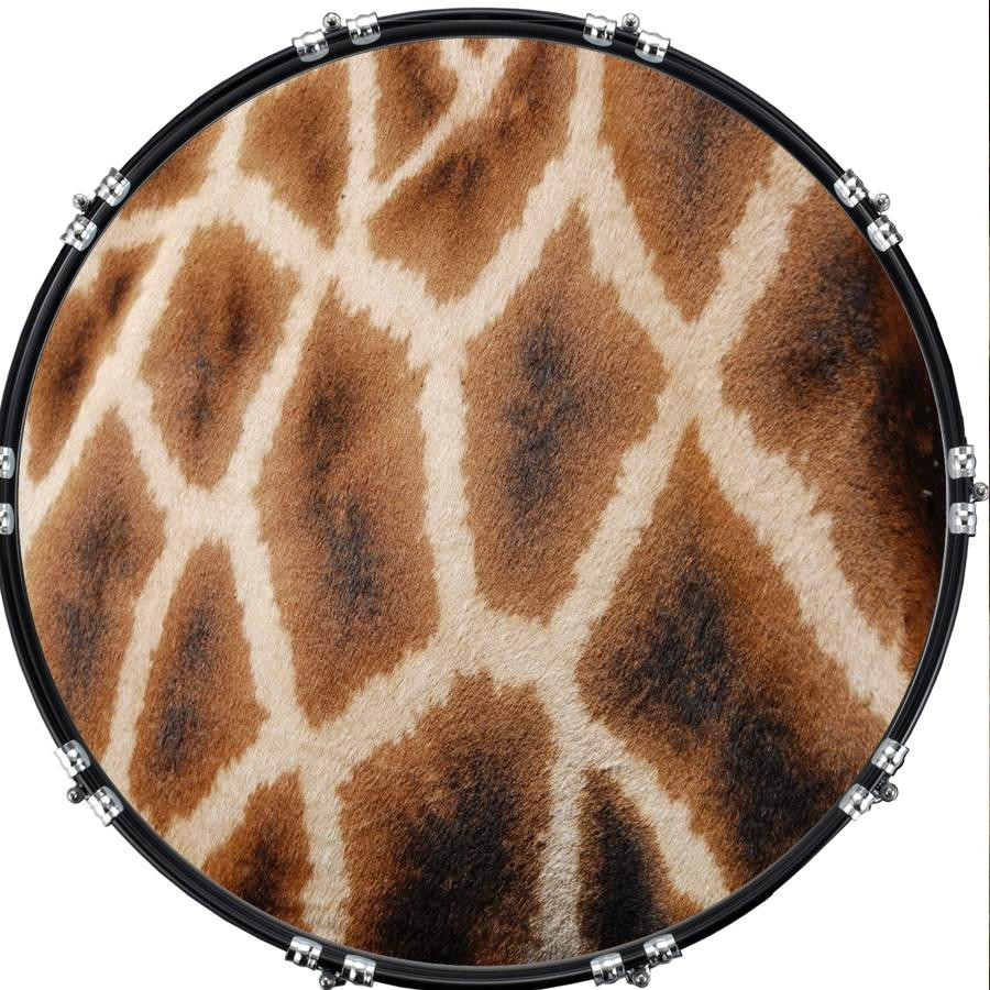 20" Custom Bass Kick Drum Front Head Graphical Giraffe
