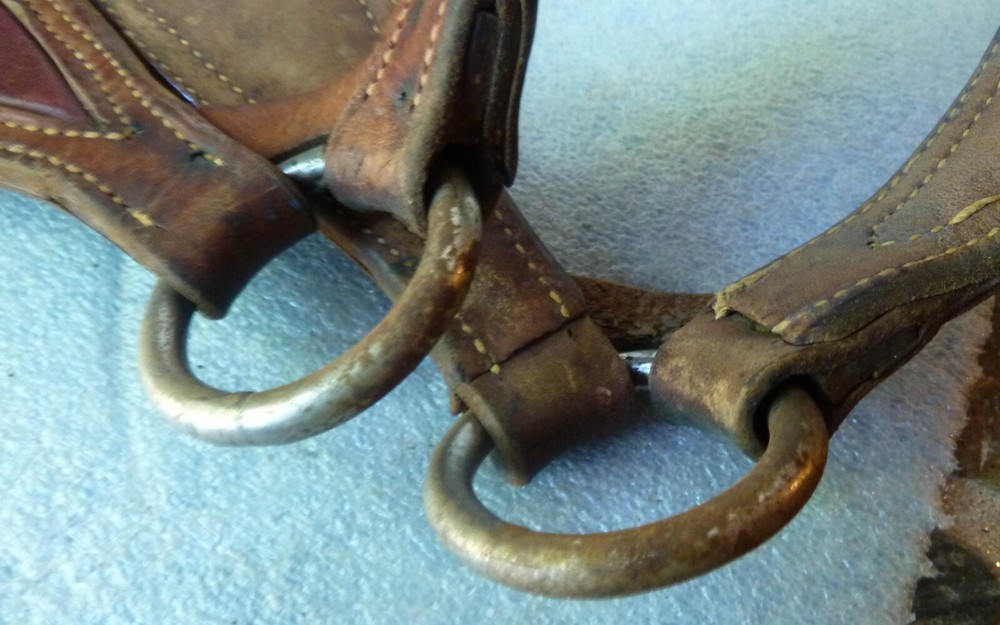 Partial Cattle Show Halter