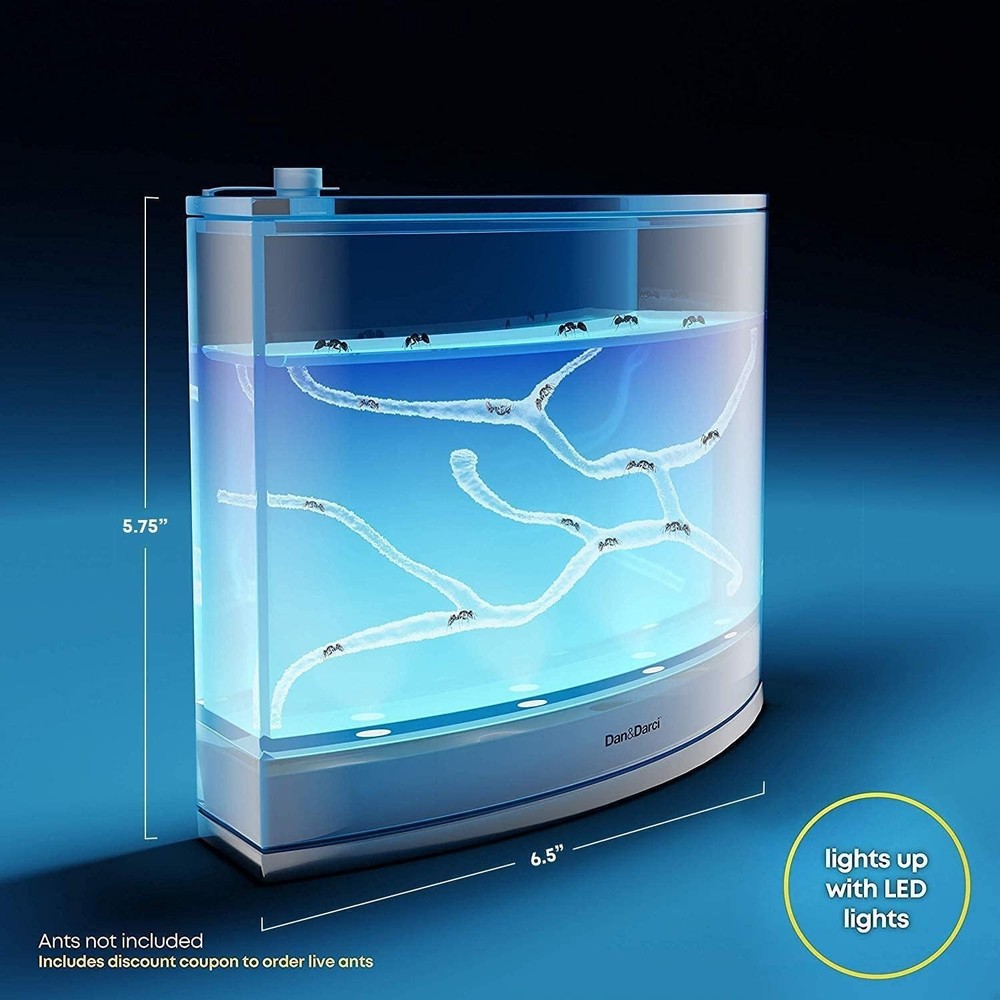 Interactive LED Ant Habitat for Children