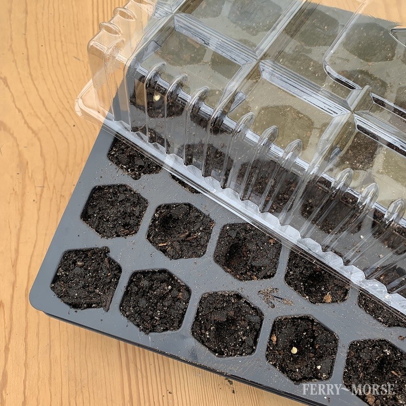 Pro Hex Seed Starting Tray 72 Cells Reusable Plant Seedling Root Development New