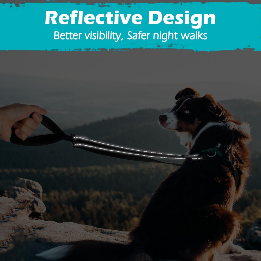 Two Point Control Dog Leash, Works with No Pull Harnesses, No Tangle Training...