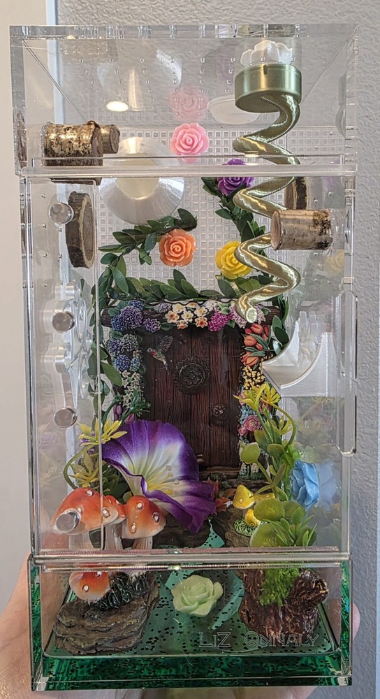 Fairy Garden Jumping Spider enclosure