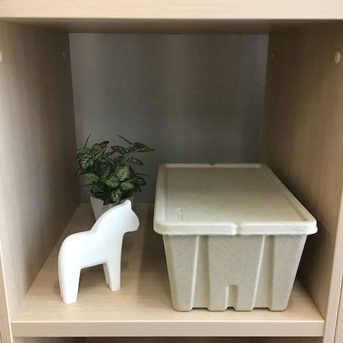 Pulp Tool Box M White bPTBM-W