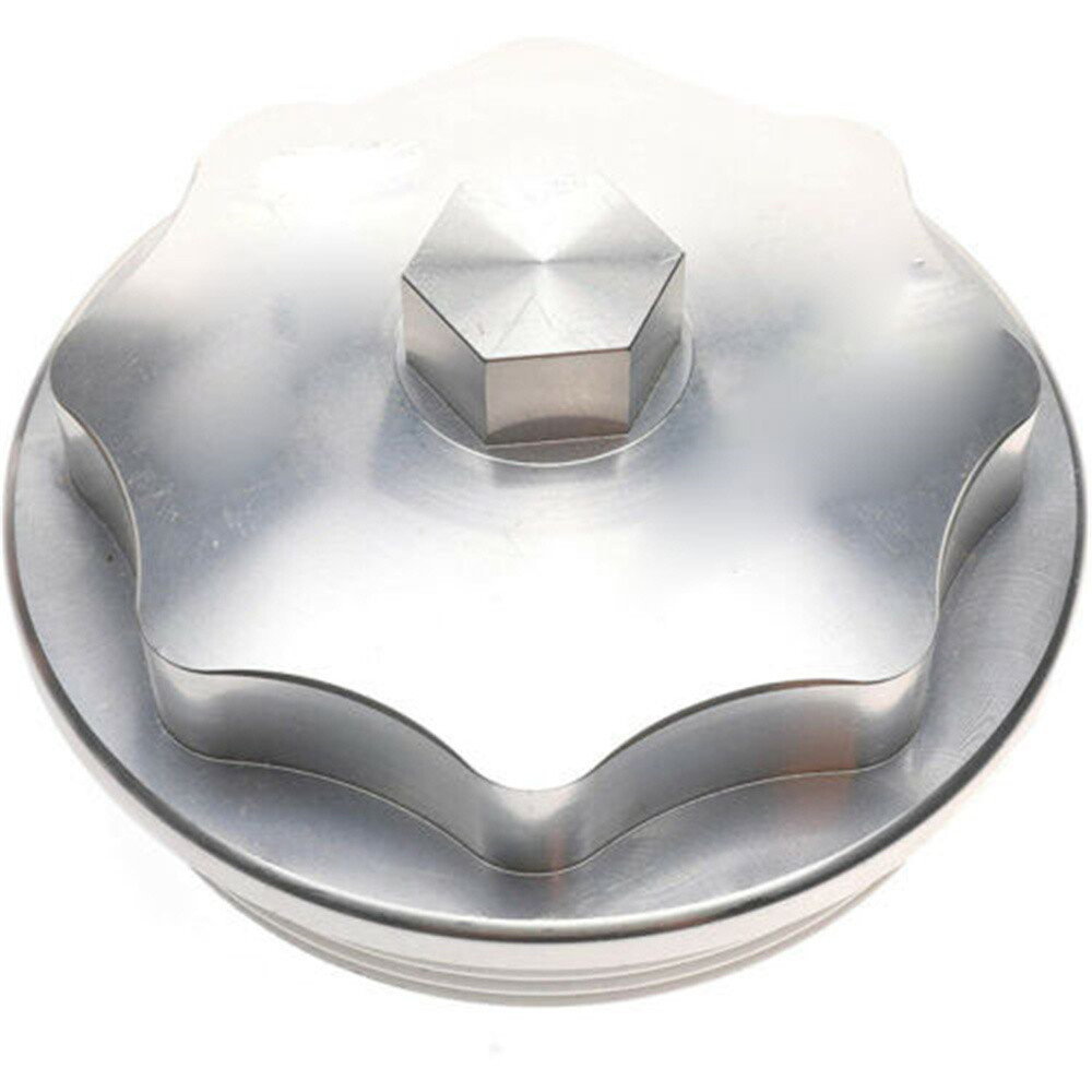 Fuel Filter Cap 1831193C91