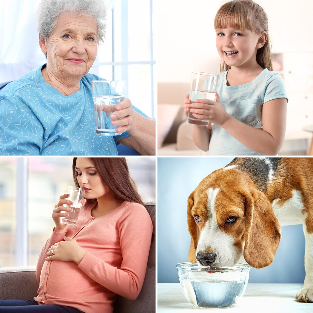 6 Months Set Water Filter Cartridge Replacement For SimPure T1-400UV RO System