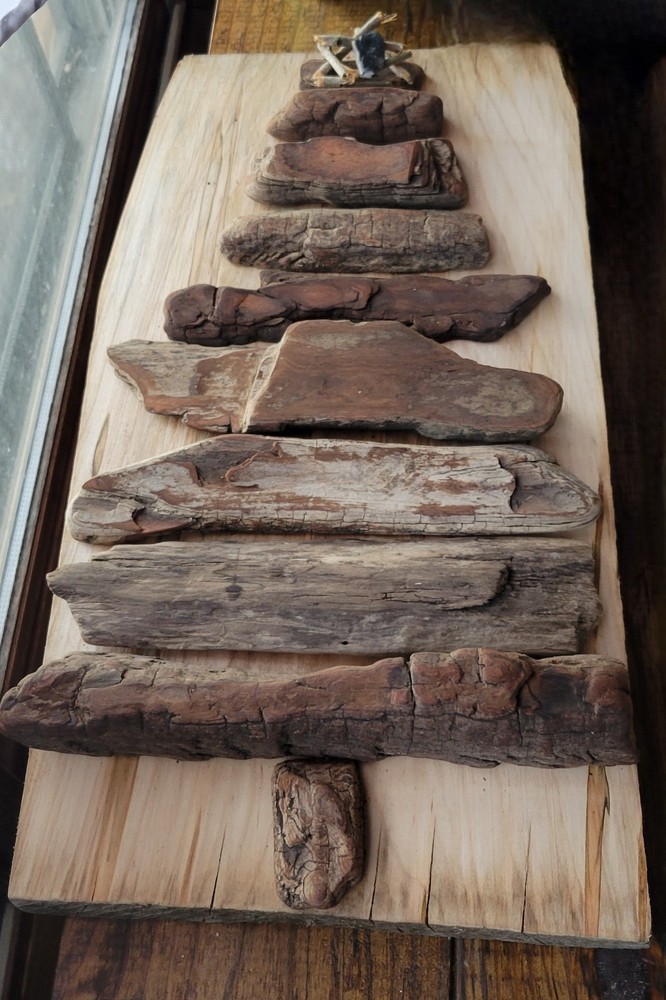 Driftwood Tree  Decor
