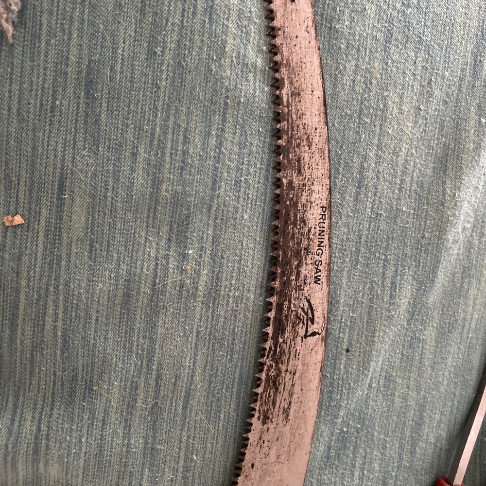 Hand Tree Pruning Saw 12”