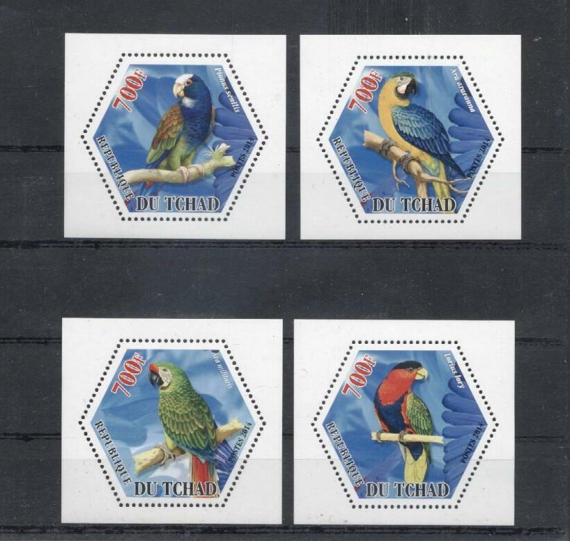 (933709) Birds, Parrot,  - odd sized - World