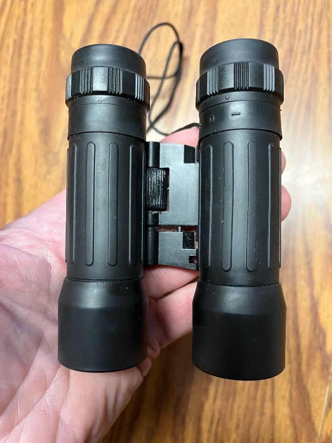 Binoculars 10x25 DCF 101M/1000M Ruby Anti Reflective Lens