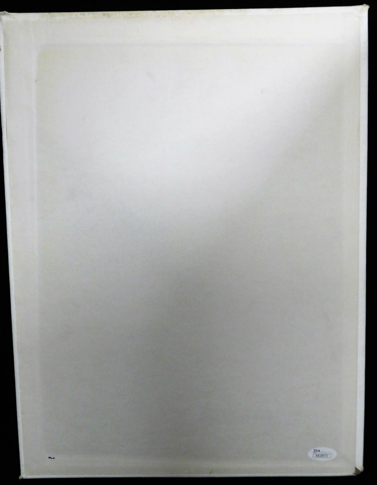 Lily Tomlin and Donald O'Connor Signed 12x16 Mounted Canvas JSA Authenticated
