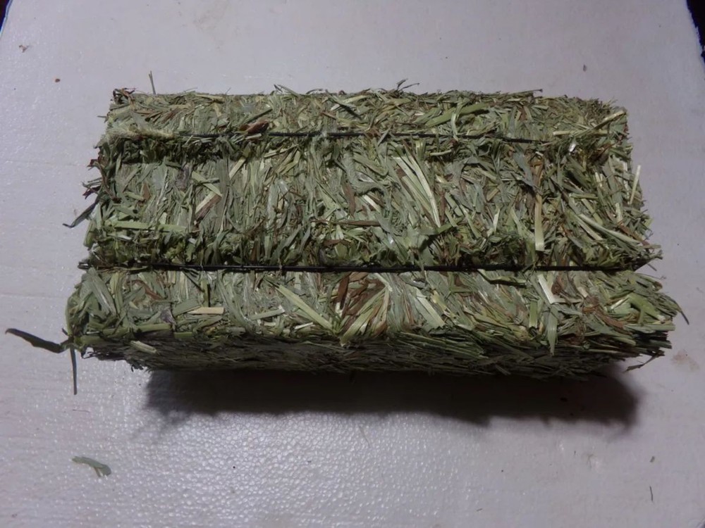 First Cut Orchard Grass 2.5 pound bale