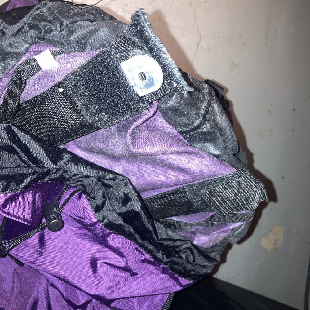 Wenzel 1887 Sport Internal Frame Backpack