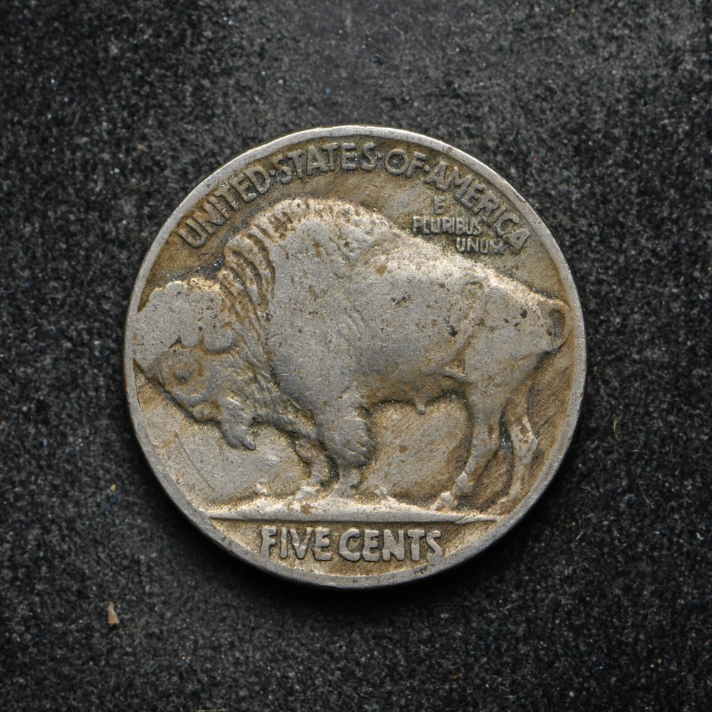 1924 Buffalo Nickel (bb14536)