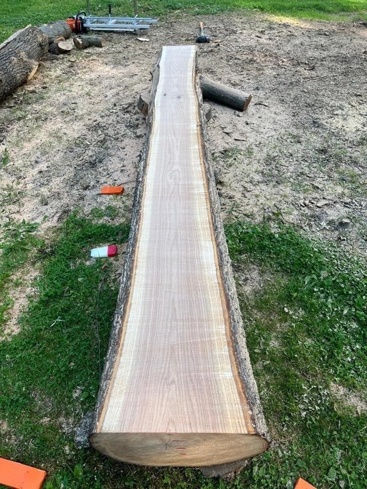 36-Inch Chainsaw Mill with 9ft Rail System – Ideal for Cedars, Oaks, and Walnuts