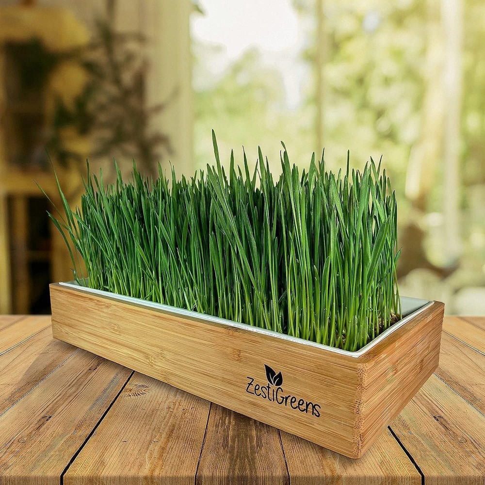 Complete Wheatgrass Growing Kit with Biodegradable Mats