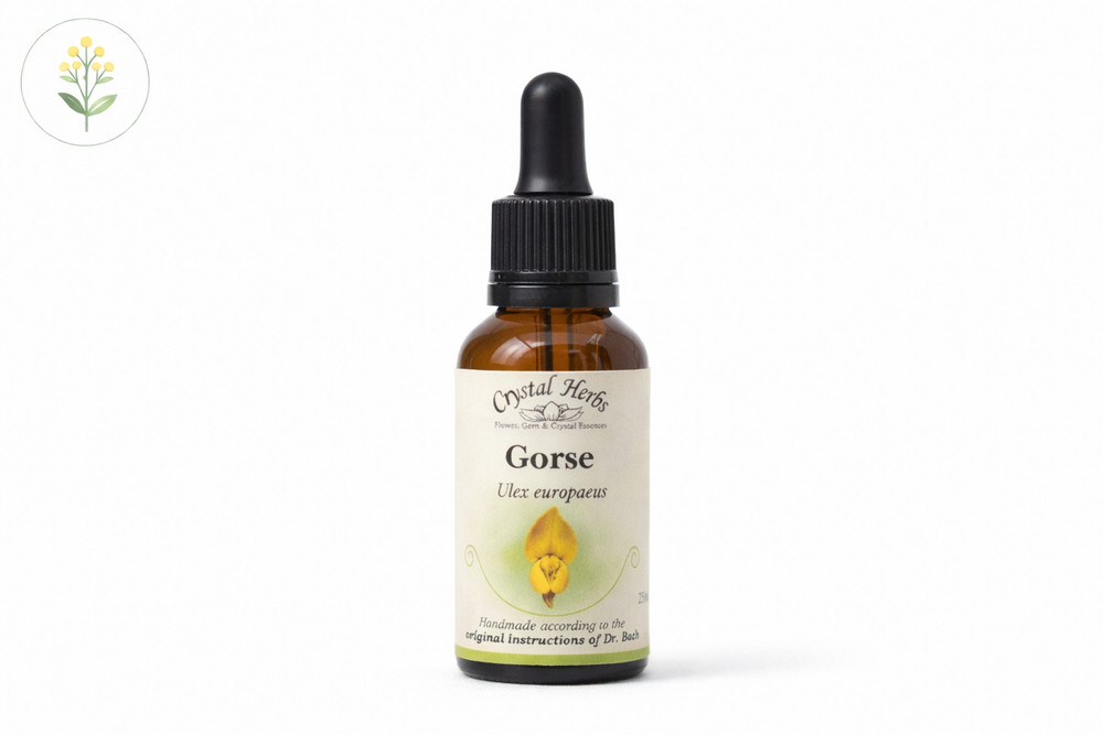 Gorse - Bach Flower Remedies