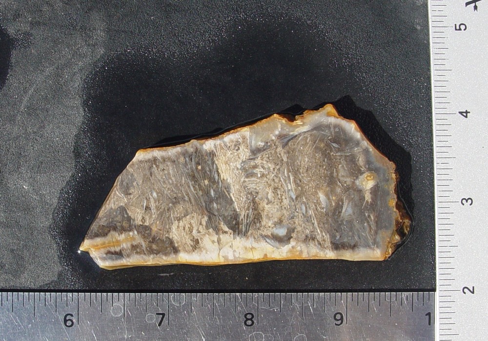 Feather Agate Lapidary Slab   Indonesia                    T1237