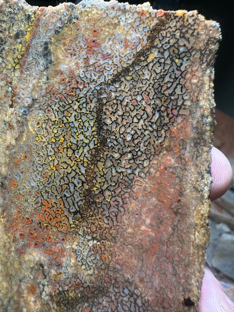 Dinosaur bone rough **hxtled slab.