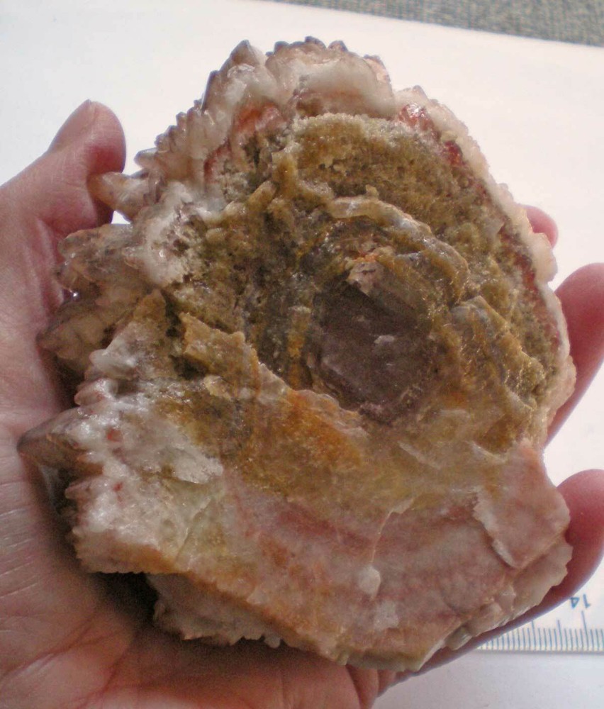 Calcite Crystal Formation Dogtooth, Hedgehog xt228