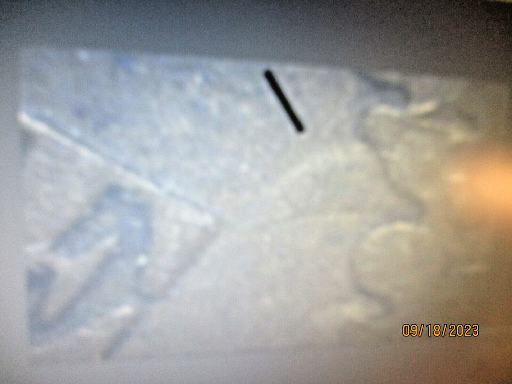 1864 INDIAN CENT WITH REVERSE DIE CLASH VF   DD4