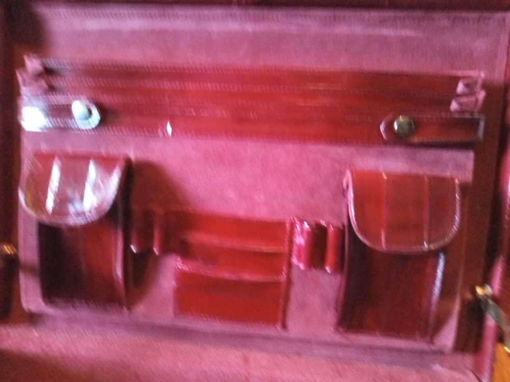 Vintage Amiet Eel skin Briefcase.